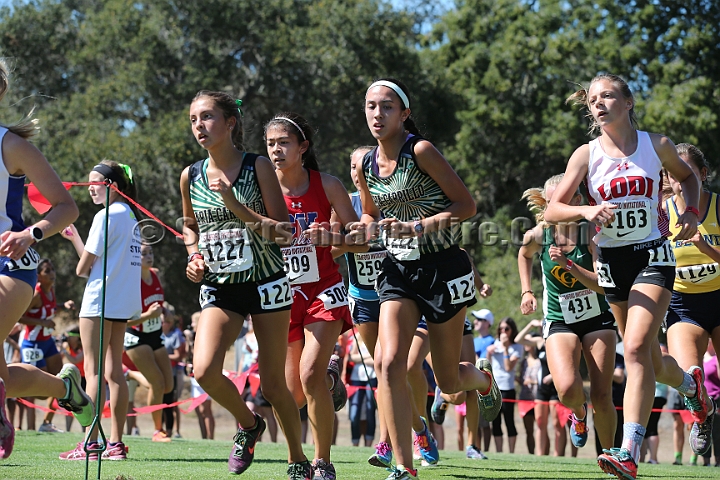 2015SIxcHSD2-136.JPG - 2015 Stanford Cross Country Invitational, September 26, Stanford Golf Course, Stanford, California.